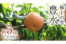極上の雫 『 豊水 』 5kg ( 自家用 ) 2025年産 先行予約 フルーツ 果物 国産 日本産 梨 ナシ なし 和梨 [DJ002ci]
