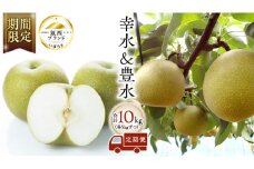 梨 2種 ( 幸水 ＆ 豊水 各5kg 合計10kg )  定期便 セット 2025年産 先行予約 なし ナシ 赤梨 食べ比べ 食べくらべ  [AE022ci]