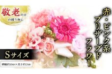 【 敬老の日 】 赤 ・ ピンク 系 プリザーブド フラワー S ギフト プレゼント 花 お祝い 贈答 記念日 [CT070ci]