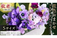 【 敬老の日 】 フラワー アレンジメントS 花色おまかせ ギフト プレゼント 花 お祝い 贈答 記念日 [CT081ci]