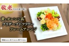 【 敬老の日 】 黄色 ・ オレンジ 系 プリザーブドフレーム アレンジ ギフト プレゼント 花 お祝い 贈答 記念日 [CT074ci]