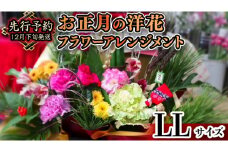 【 お正月 の お花 】 洋花 ＊ フラワー アレンジメント LL お正月 花 生花 縁起物 フラワーアレンジメント ギフト [CT054ci]