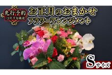 【 お正月 の お花 】 お花 おまかせ ＊ フラワー アレンジメント S お正月 花 生花 縁起物 フラワーアレンジメント ギフト [CT051ci]