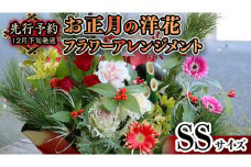 【 お正月 の お花 】 洋花 ＊ フラワー アレンジメント SS お正月 花 生花 縁起物 フラワーアレンジメント ギフト [CT107ci]