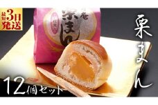 スピード発送!! 栗まんじゅう 12個セット 栗 くり まんじゅう 饅頭 和菓子 おやつ おかし お菓子 スピード発送 スピード配送 [AO020ci]