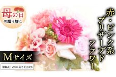【 母の日 】 赤 ・ ピンク 系 プリザーブド フラワー M ギフト プレゼント 花 お祝い 贈答 記念日 [CT102ci]