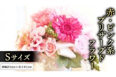 赤 ・ ピンク 系 プリザーブド フラワー S ギフト プレゼント 花 お祝い 贈答 記念日 [CT070ci]
