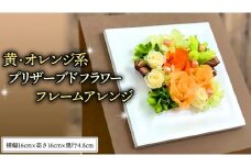 黄色 ・ オレンジ 系 プリザーブドフレーム アレンジ ギフト プレゼント 花 お祝い 贈答 記念日 [CT074ci]