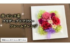 赤 ・ ピンク 系 プリザーブド フレーム アレンジ ギフト プレゼント 花 お祝い 贈答 記念日 [CT073ci]