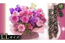 癒し の フラワー セラピー アレンジメント LLサイズ お花 花 はな アレンジ リラックス リフレッシュ ストレス [CT129ci]