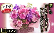 【 6ヶ月 定期便 】 癒し の フラワー セラピー アレンジメント LLサイズ お花 花 はな アレンジ リラックス リフレッシュ ストレス [CT130ci]