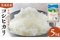 【 令和6年産 】 茨城県産 コシヒカリ 5kg 米 お米 コメ 白米 こしひかり 茨城県 精米 新生活 応援 [DK001ci]