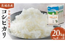 【 令和6年産 】 茨城県産 コシヒカリ 20kg ( 5kg × 4袋 ) 米 お米 白米 コメ こしひかり 茨城県 精米 新生活 応援 [DK004ci]
