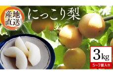 【 産地直送 】 にっこり 3kg 梨 なし ナシ [CZ004ci]