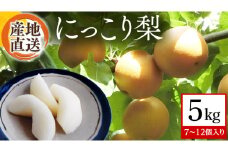 【 産地直送 】 にっこり梨 5kg 梨 なし ナシ [CZ003ci]