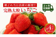 【 2ヶ月 定期便 】完熟 いちご 2パック 先行予約 大粒 イチゴ 苺 フルーツ 果物 [AF099ci]