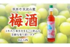 梅酒 アルコール 12％ （ 500ml × 1本 ） 果実酒 お酒 酒 梅 うめ ウメ [DP001ci]