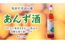 あんず酒 アルコール 12％（ 500ml × 1本 ） 果実酒 お酒 酒 あんず [DP003ci]