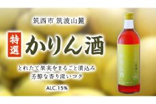 【 特選 】 かりん酒 アルコール 15％ （ 500ml × 1本 ） 果実酒 お酒 酒 かりん [DP005ci]