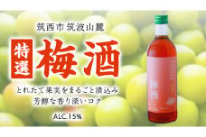 【 特選 】 梅酒 アルコール 15％（ 500ml × 1本 ） 果実酒 お酒 酒 梅 うめ ウメ [DP002ci]