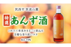 【 特選 】 あんず酒 アルコール 15％ （ 500ml × 1本 ） 果実酒 お酒 酒 あんず [DP004ci]