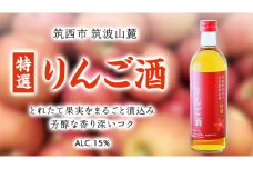 【 特選 】 りんご酒 アルコール 15％ （ 500ml × 1本 ） 果実酒 お酒 酒 リンゴ りんご 林檎 [DP006ci]