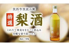 【 特選 】 梨酒 アルコール 15％ （ 500ml × 1本 ） 果実酒 お酒 酒 梨 なし ナシ [DP007ci]