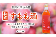 【 特選 】 すもも酒 アルコール 15％ （ 500ml × 1本 ） 果実酒 お酒 酒 すもも 桃 [DP008ci]