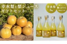 梨 「 幸水 」 3kg と 梨 ジュース 「絢 -AYA-」 180ml × 4本 ギフト セット 減農薬 果物 フルーツ なし ナシ [DC008ci]