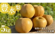 独特の甘さ ジューシーな食感 「 豊水 」 梨 5kg 減農薬 果物 フルーツ なし ナシ [DC006ci]