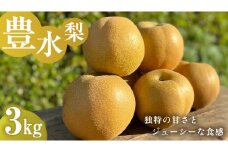 独特の甘さ ジューシーな食感 「 豊水 」 梨 3kg 減農薬 果物 フルーツ なし ナシ [DC007ci]