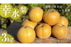 独特の甘さ ジューシーな食感 「 幸水 」 梨 3Kg 減農薬 果物 フルーツ なし ナシ [DC005ci]