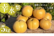 独特の甘さ ジューシーな食感 「 幸水 」 梨 5kg 減農薬 果物 フルーツ なし ナシ [DC004ci]