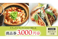 【 3,000円分 】 ナチュラルセンスいのせ チャイナ ＆ フレンチ レストラン 店舗で使える 商品券 食事 レストラン ランチ ディナー ギフト プレゼント 祝い [CF013ci]