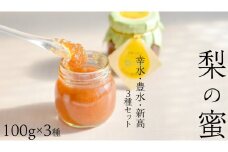 梨の甘味を詰め込んだ「 梨の蜜 ( 幸水 ・ 豊水 ・ 新高 )」 3個 セット 添加物不使用 手作り ジャム スイーツ デザート 果物 フルーツ 和梨 なし ナシ [DS001ci]