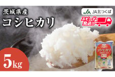 スピード発送!!【 JA 北つくば 】 茨城県産 コシヒカリ 5kg 令和6年産 農協 米 お米 白米 コメ こしひかり 茨城県 精米 新生活 応援 スピード配送 [AE026ci]
