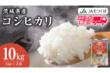 スピード発送!!【 JA 北つくば 】 茨城県産 コシヒカリ 10kg 令和6年産 農協 米 お米 白米 コメ こしひかり 茨城県 精米 新生活 応援 スピード配送 [AE027ci]