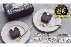 【 禁断の幸せ 】 テリーヌショコラ チョコ チョコレート 生チョコ ショコラ ケーキ デザート スイーツ テリーヌ 贈り物 贈答 ギフト バレンタイン ホワイトデー [CS007ci]