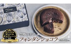 【 禁断の幸せ 】 フォンダンショコラ チョコ チョコレート 生チョコ ショコラ ケーキ デザート スイーツ 贈り物 贈答 ギフト バレンタイン ホワイトデー [CS006ci]