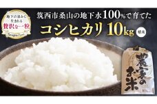 地下水100％で作る美味しい 「 コシヒカリ 」 10kg 令和6年産 米 お米 白米 コメ こしひかり 茨城県 精米 新生活 応援 [DU003ci]