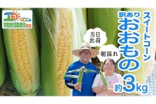【 朝採れ 当日出荷 】 訳あり スイートコーン 「 おおもの 」 約3kg 特別栽培農産物 特別栽培 甘い 新鮮 皮付き トウモロコシ とうもろこし コーン 野菜 [DX007ci]