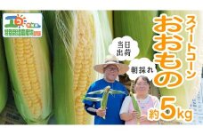 【 朝採れ 当日出荷 】 スイートコーン 「 おおもの 」 約5kg 特別栽培農産物 特別栽培 甘い 新鮮 皮付き トウモロコシ とうもろこし コーン 野菜 [DX006ci]