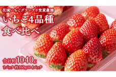 【 茨城いちごグランプリ 受賞 農園 】 完熟 いちご 4品種 食べ比べ セット イチゴ 苺 フルーツ 果物 果実 いばらキッス ひたち姫 とちおとめ やよいひめ よつぼし すず はるひ かおり野 ほしうらら [DY001ci]
