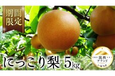 【 JA 北つくば 】 筑西ブランド 認証品 にっこり 5kg 2025年産 先行予約 梨 果物 フルーツ なし ナシ 和梨 [AE030ci]