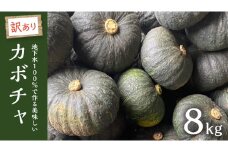 【 訳あり 】 地下水100％で作る美味しい 「 カボチャ 」 約8kg くり大将 かぼちゃ 南瓜 野菜 地下水 ミネラル [DU013ci]