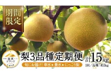 【 JA 北つくば 】 筑西ブランド 認証品 梨 3種 定期便 セット 2025年産 先行予約 果物 フルーツ なし ナシ 和梨 [AE031ci]