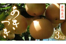 【 産地直送 】 あきづき 3kg 梨 フルーツ 果物 国産 日本産 梨 ナシ なし 和梨 [CZ008ci]