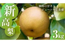 独特の甘さ ジューシーな食感 「 新高 」 3kg 梨 減農薬 果物 フルーツ なし ナシ 和梨 [DC013ci]