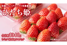 【 茨城いちごグランプリ 受賞 農園 】 完熟 ひたち姫 4パック 茨城県オリジナル品種 イチゴ 苺 フルーツ 果物 果実 [DY004ci]