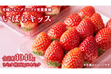 【 茨城いちごグランプリ 受賞 農園 】 完熟 いばらキッス 4パック 茨城県オリジナル品種 イチゴ 苺 フルーツ 果物 果実 [DY003ci]